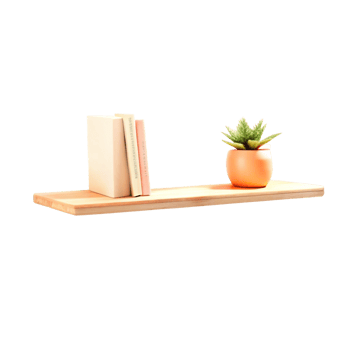 Minimalist wall shelf with books and greenery in 3D png