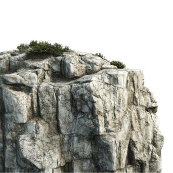 Grass Growing on a Rocky Surface On Transparent Background png