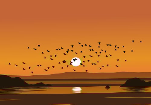 Flock of birds flying over the beach vector