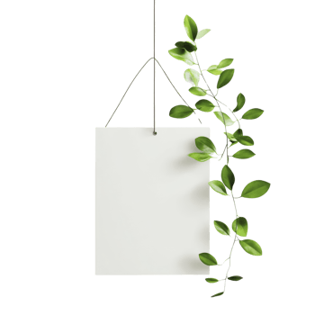 Blank Hanging Sign Adorned With Greenery png