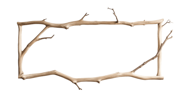 Rustic wooden branch frame natural design element png