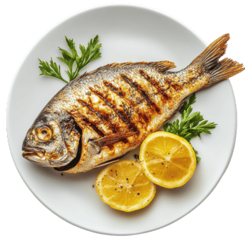 Delicious Grilled Fish Dish on transparent background. png