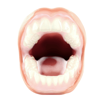 Open Mouth Teeth White Background on transparent background. png