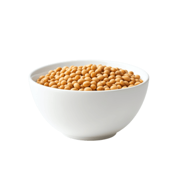 Soybeans in Bowl White Background on transparent background. png