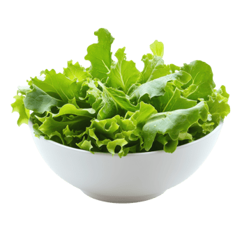 Fresh Green Salad in Bowl on transparent background. png