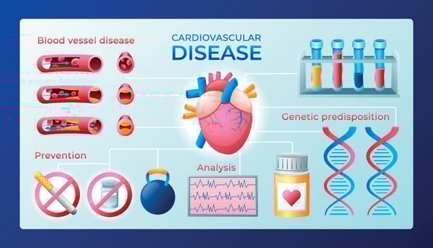 Gradient cardiovascular disease infographic template vector