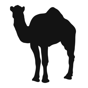 a camel silhouette illustration design png