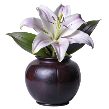 Elegant Single White Lily in Dark Brown Vase Flower Arrangement png