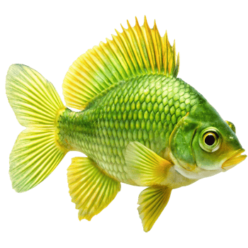 Vibrant Green Fish with Yellow Fins Detailed Illustration png