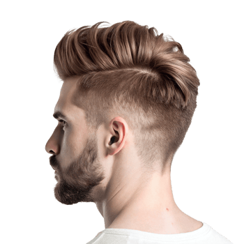 Stylish Men's Undercut Hairstyle with Long Top and Beard png
