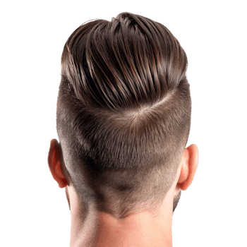 Men's Hairstyle Undercut Pompadour Back View, Stylish Brown Hair, Tapered Sides, Clean Cut png