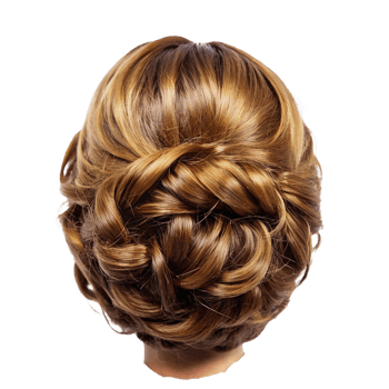 Elegant Brown Hair Updo Hairstyle for Special Occasions png