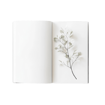 Open book with a delicate silver eucalyptus branch png