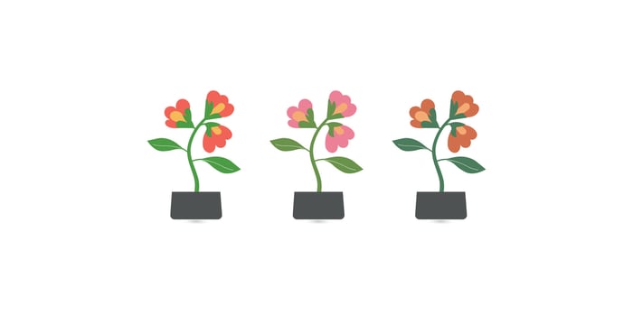 Nature Element Flower Plant Illustration in Natural Warm Colors vector