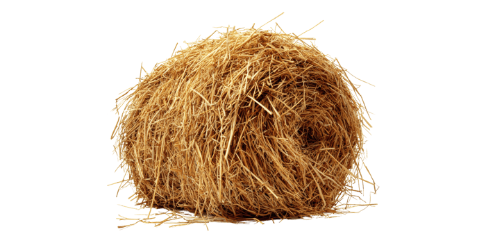 Bale isolated on transparent background png