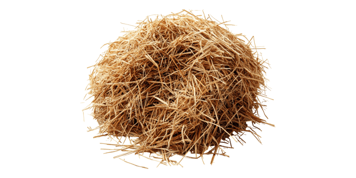 Pile of dried hay straw isolated on transparent background png
