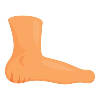 Human foot showing dry cracked heel skin condition vector