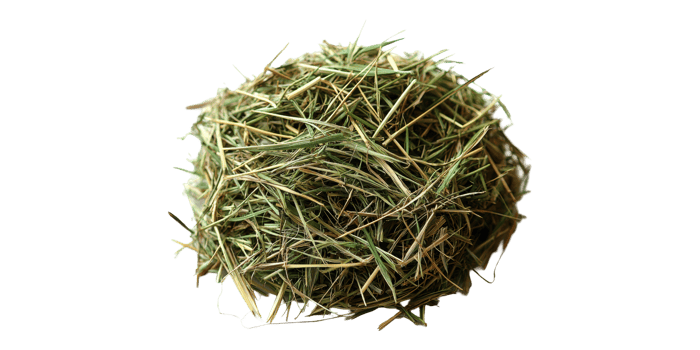 Hay bale isolated on transparent background png