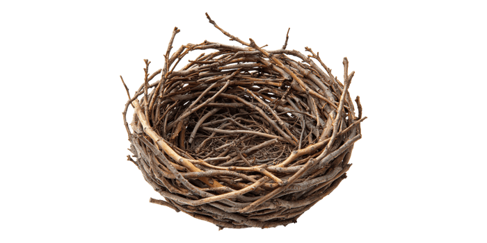 Bird nest made from twigs isolated on transparent background png