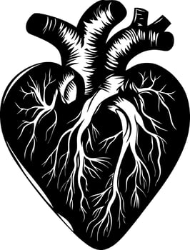 Anatomical Heart Illustration Realistic Design for Tattoos and Medical Art vector