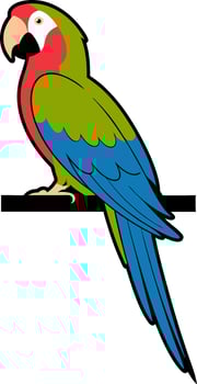 Colorful Parrot Illustration for Art Designs and Educational Materials vector