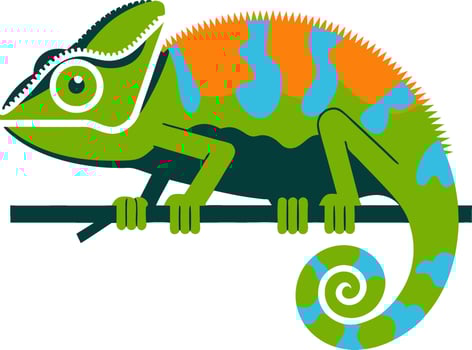 Colorful Chameleon Illustration for Art Tattoos and Nature Designs vector