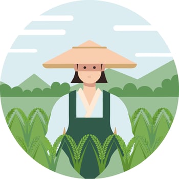 Traditional Farmer in Rice Field with Asian Hat Illustration vector