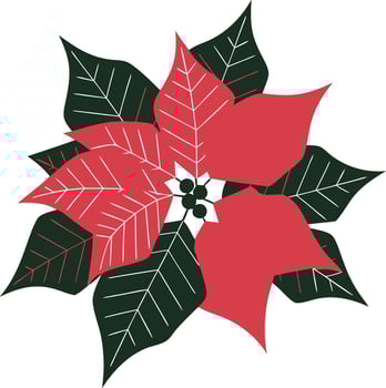 Vibrant Poinsettia Flower Art for Holiday Crafts and Decor vector