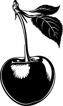 Vintage Cherry Illustration with Leaves for Tattoo and Design Uses vector