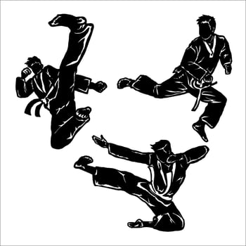 Karate black silhouette vector