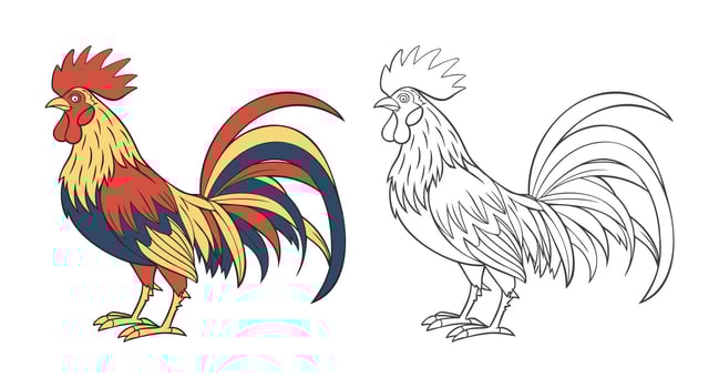 Rooster. Cute farm poultry. Illustration and Coloring Page. Coloring book for children vector