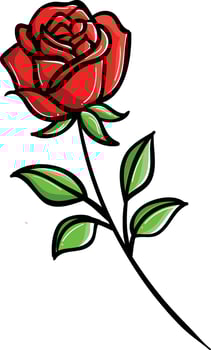 a red rose with leaves on it vector