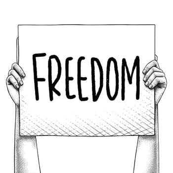 Hand Raises a Sign That Says Freedom vector