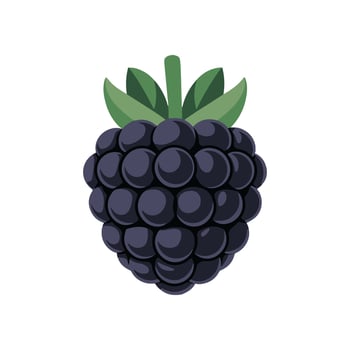blackberry fruit icon illustrations vector