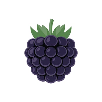 blackberry fruit icon illustration vector