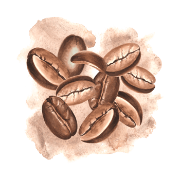Composition from roasted coffee beans with stain. Watercolor hand drawn illustrations isolated. Ingredients for aromatic morning drink. Clipart of Arabica grains. Template for packaging, cafe, card. png