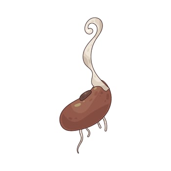 illustration of Germination vector