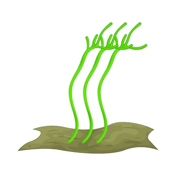 Illustration of algae vector
