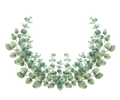 Eucalyptus green plant bouquet. Greenery Watercolor semicircular composition. Silver dollar tree branches with round leaves. Hand drawn illustration for wedding, baptism card isolated from background png