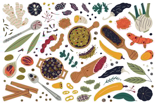 Vibrant spices illustrations set, various herbs, seeds, and seasonings like turmeric, ginger, cinnamon in wooden spoons and bowls. Doodle collection for culinary, cooking, and food themes vector