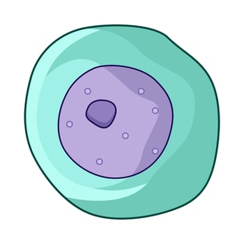 illustration of Nucleus vector