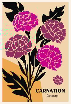 Abstract botanical poster, card with Carnations January birth month flowers in Mid century modern Flower Market retro style vector