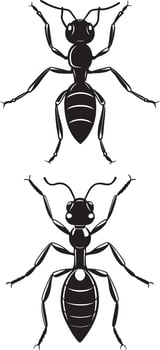 silhouette ant design vector