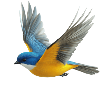 A Vibrant Blue And Yellow Bird In Flight png