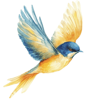 Watercolor Painting Of A Bird In Flight png