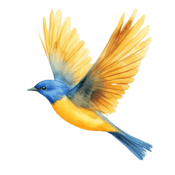 Watercolor Painting Of A Yellow And Blue Bird In Flight png