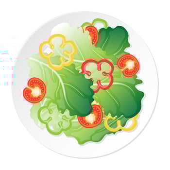 A plate of salad green vegetable leaf sliced tomato and sweet pepper cartoon illustration vector