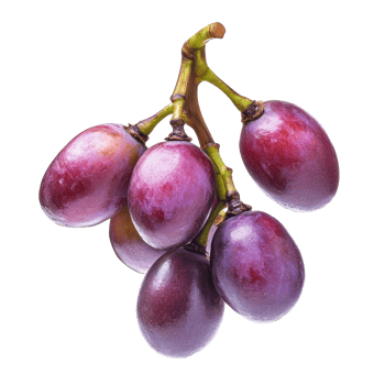 Burmese grape tropical fruit cluster isolated on transparent background for culinary and nutritional exploration, burmese grape, tropical fruit isolated on transparent background png