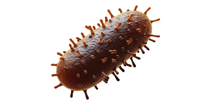 3D Bacterium Illustration Isolated on Transparent Background png