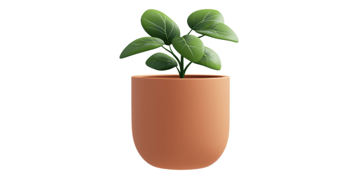 3D Potted Green Plant Isolated on Transparent Background png